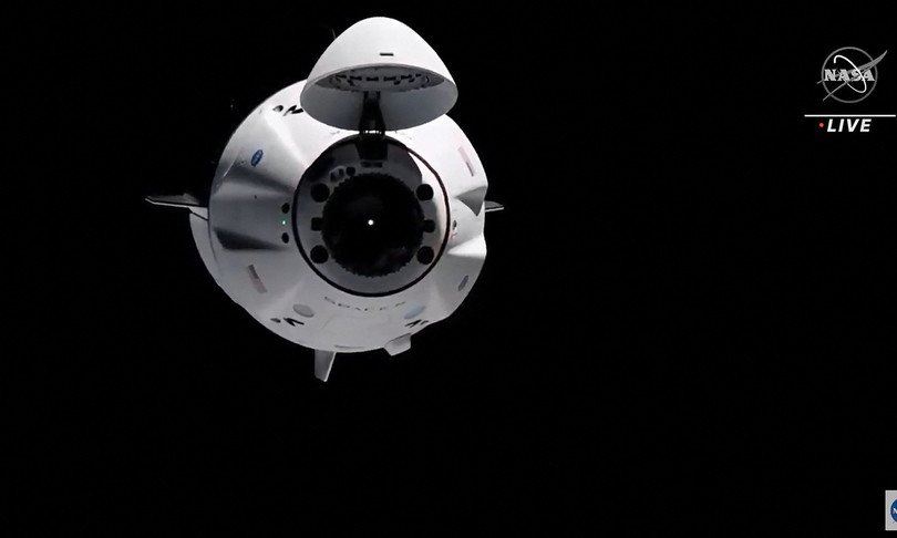 space x nasa iss tardigradi calamari