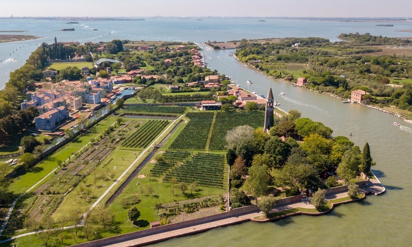 agricoltura eroica vitigno autoctono veneziano