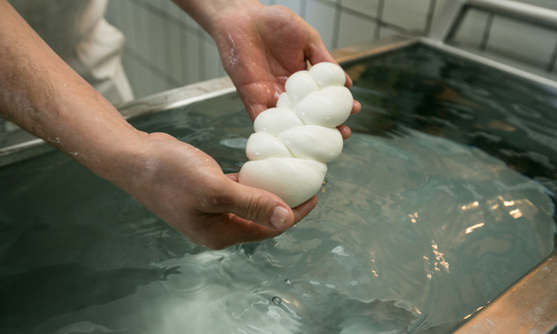 battipaglia museo mozzarella di bufala