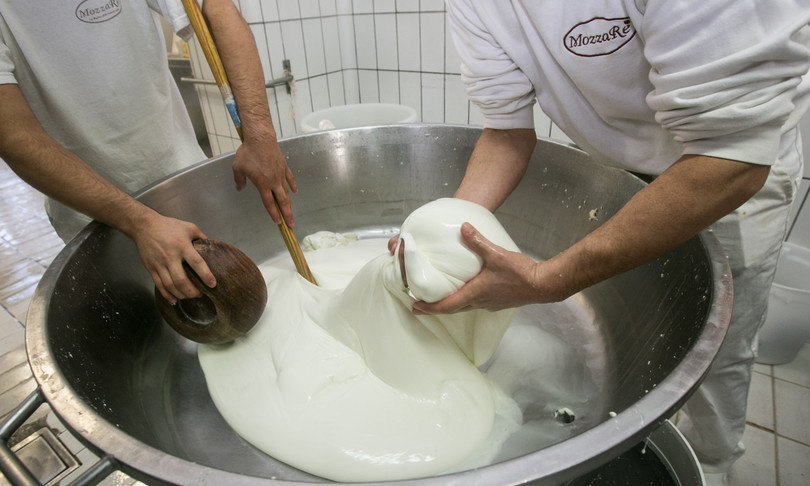battipaglia museo mozzarella di bufala