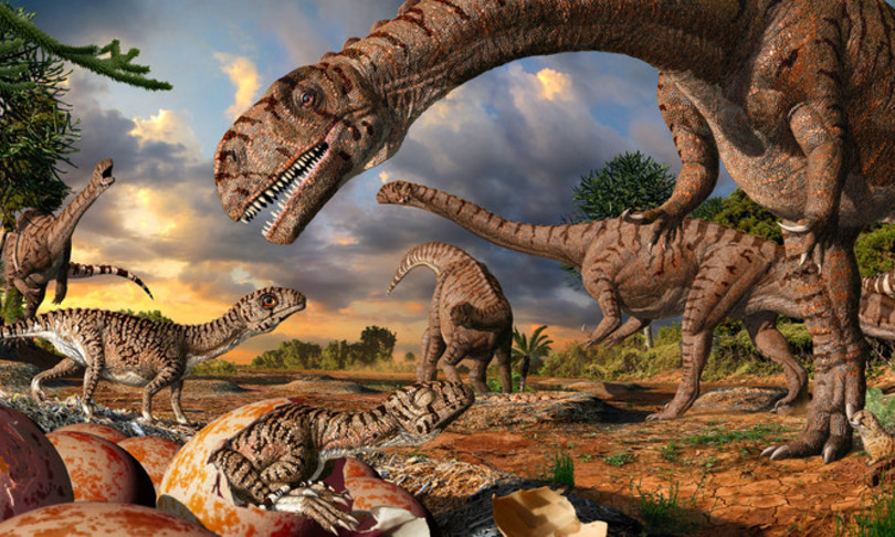 dinosauri vivevano e nidificavano artico