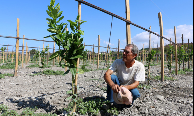 calabria lavoro vietato campi ore più calde