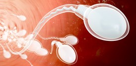 Un anticoncezionale in gel 'paralizza' gli spermatozoi e non ha effetti collaterali
