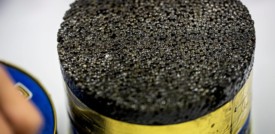 Il mercato del caviale ha minacciato e poi salvato gli storioni dall'estinzione