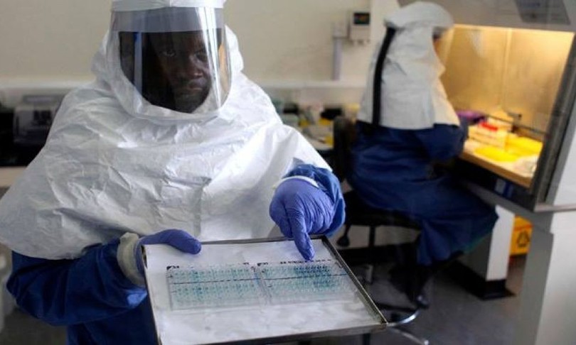 virus latente legato a una nuova epidemia di ebola
