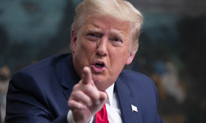 donald trump fa causa alla nipote new york times