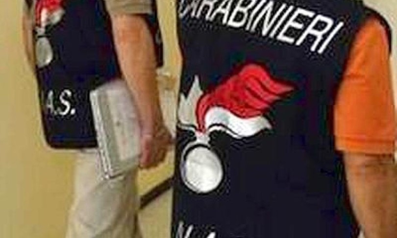 maxi sequestro botox contraffatto da cina