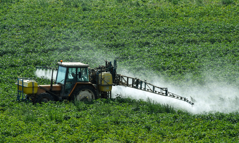aumento giovani agricoltori ultimi cinque anni coldiretti lavoro