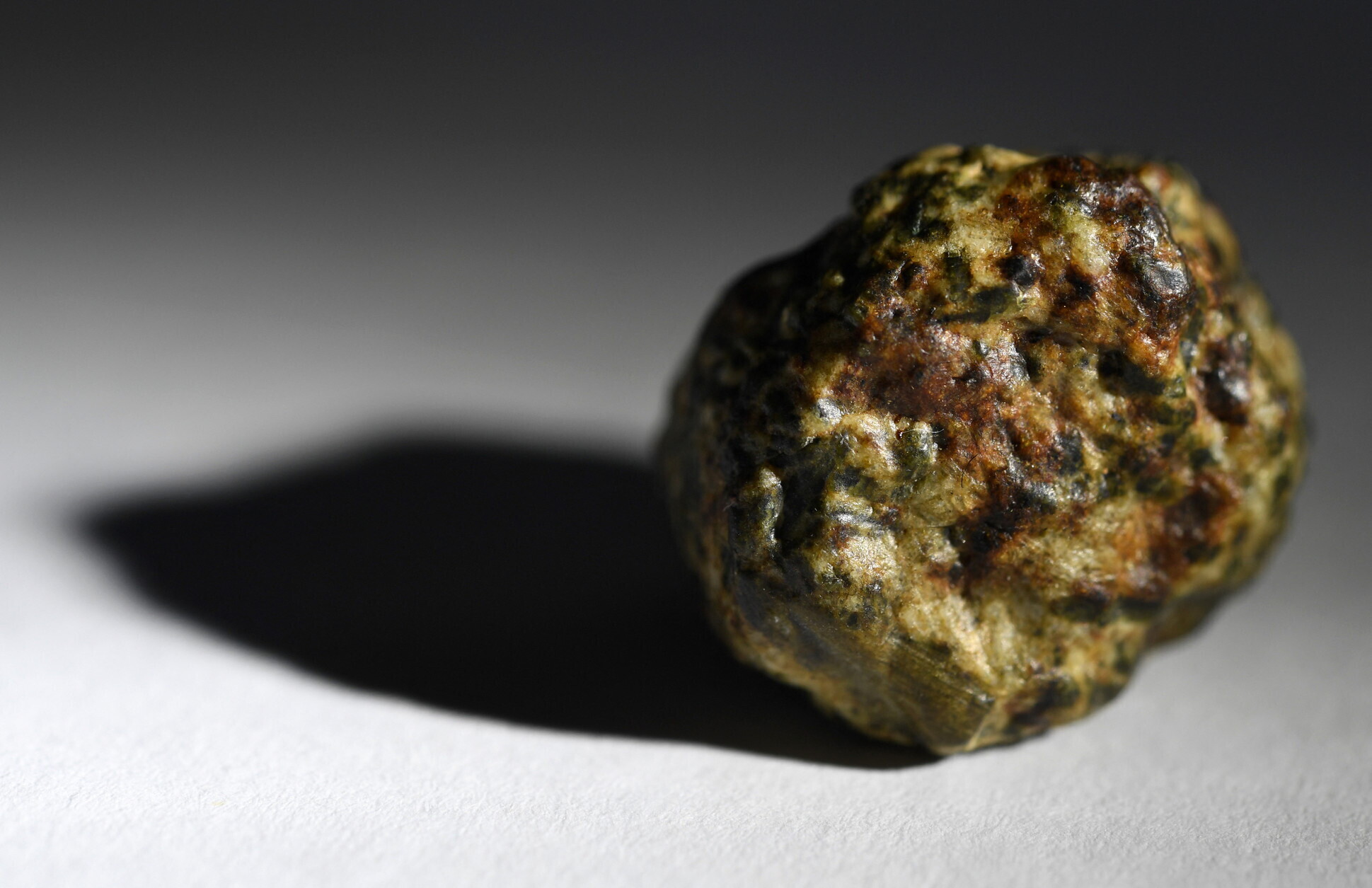 All'asta il più grande masso di Marte caduto sulla Terra