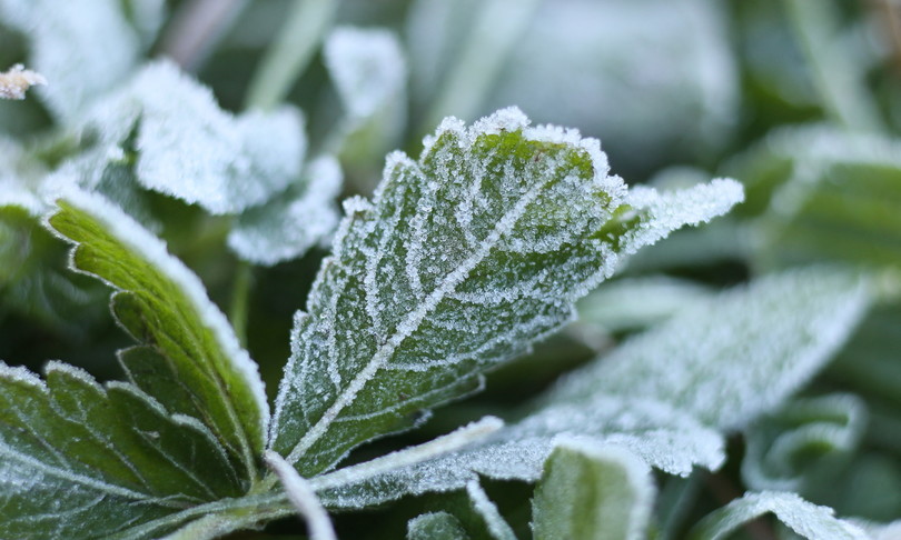 meteo irruzione artica temporali crollo temperature