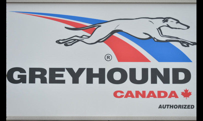 Flixbus compra Greyhound Nord America autobus
