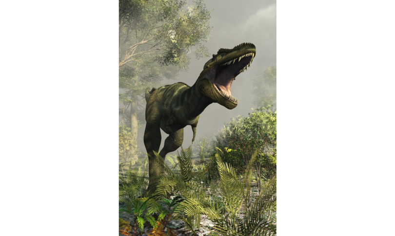 dinosauri erbivori socievoli studio