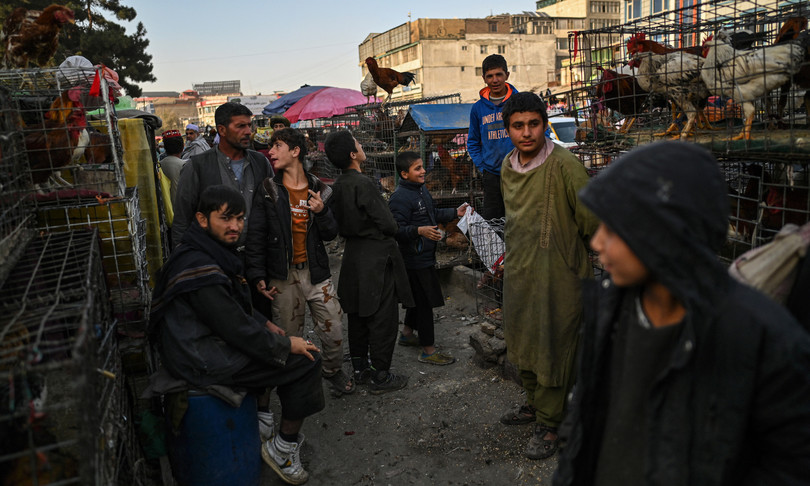 afghanistan allarme unhcr emergenza inverno
