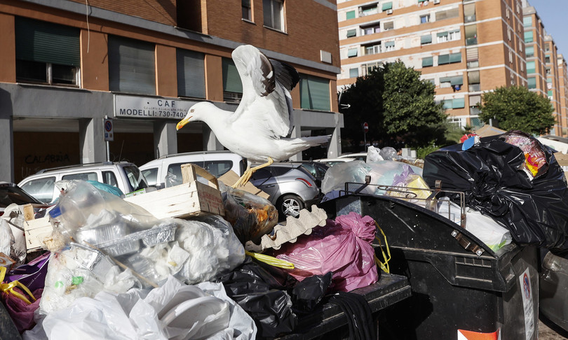 Roma ex ministro Piazza nuovo amministratore unico Ama