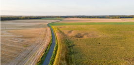 Il cambiamento climatico minaccia la produzione di grano, soia e mais