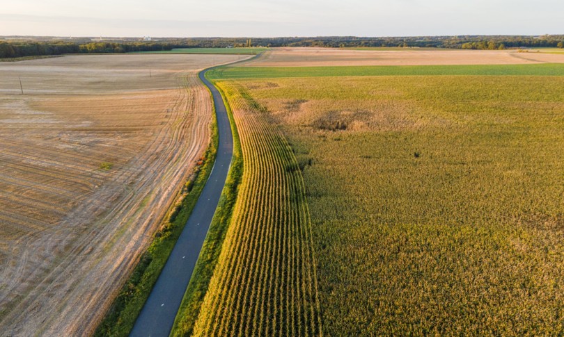 cambiamento climatico minaccia produzione grano soia mais
