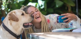 Con Google si potranno cercare nei dipinti i sosia dei nostri animali