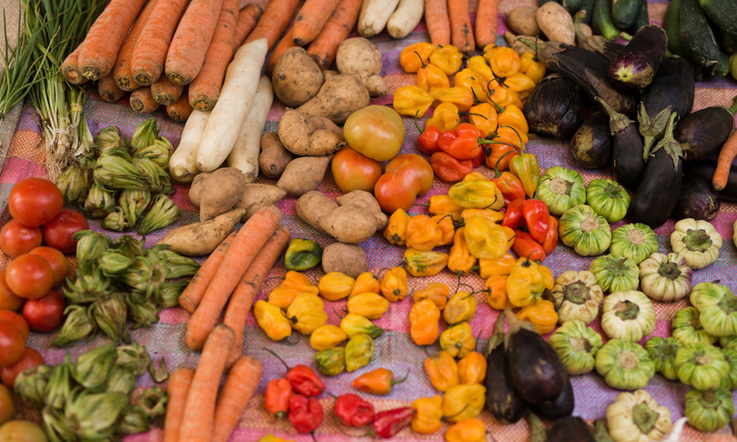 Un 1 italiano su 4 teme cibo finisca