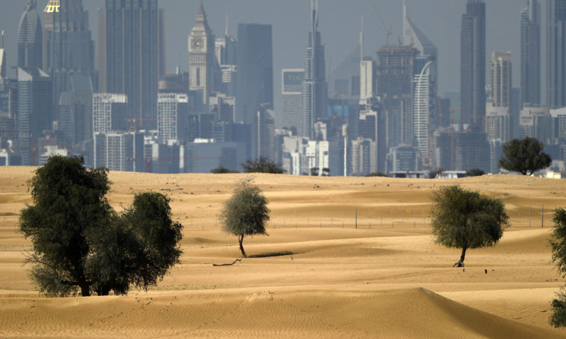 Expo 2020 – Fiori nel deserto – Articolo shortform #10