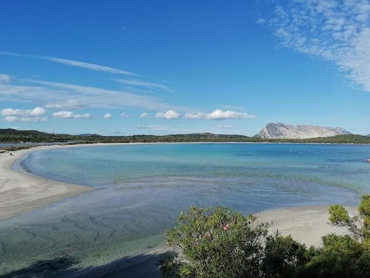 La Sardegna ruotò di 90 gradi in 15 milioni di anni
