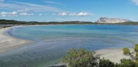 La spiaggia di San Teodoro studia il numero chiuso