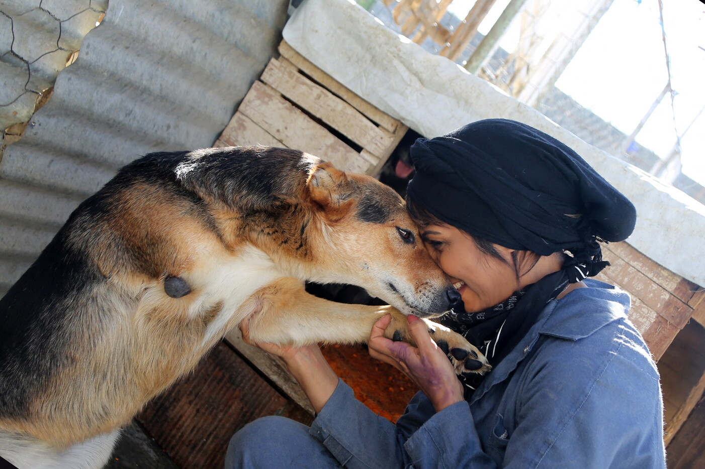 Chi possiede un cane ha un senso di comunità più forte