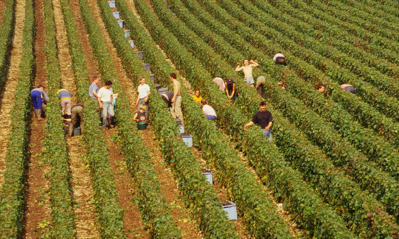 agricoltura biodinamica non biologica legge