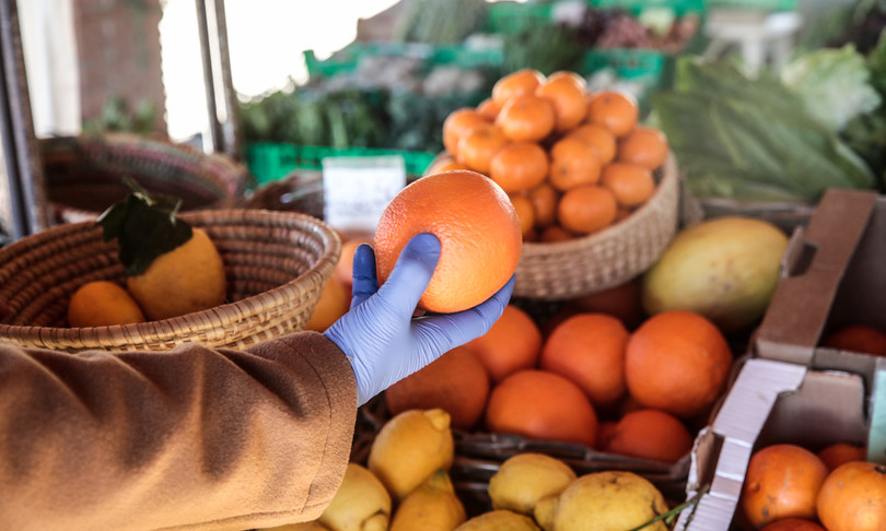 agricoltura biodinamica fuori legge biologico italiano