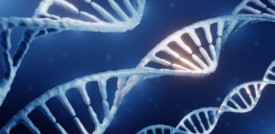 Scoperti nuovi strumenti per decifrare il genoma