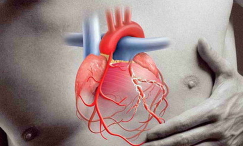 Monzino infarto vaccino