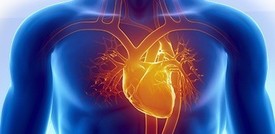 Cominciata la sperimentazione del 'vaccino' anti-infarto