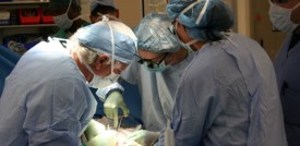 È stato operato un bambino con due peni completamente funzionanti