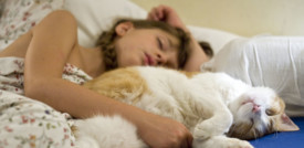 Perché e quanto fa male dormire con la luce accesa