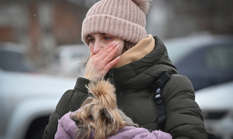 animali domestici dramma guerra ucraina