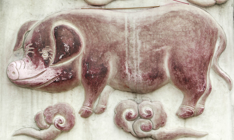 Che anno sarà l'anno del maiale. L'oroscopo cinese