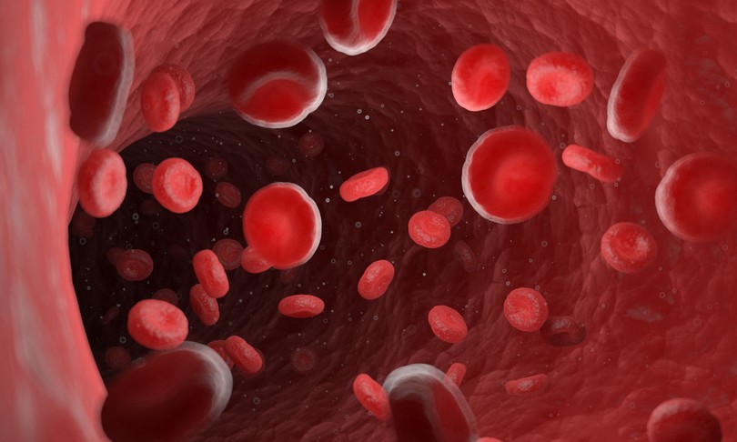 trovate particelle plastica sangue umano