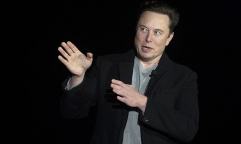 perche elon musk non entra cda twitter