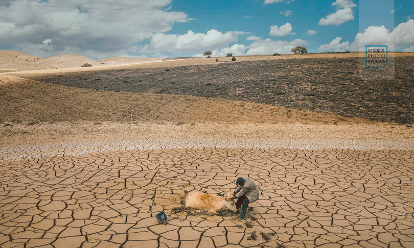Clima Onu allarme siccita dal 2000 cresciuta del 29%
