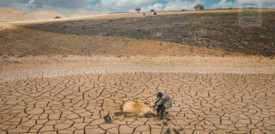 L'allarme dell'Onu: "Dal 2000 la siccità è cresciuta del 29%"
