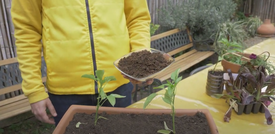Dagli orti urbani al biogas, la guerra ai rincari