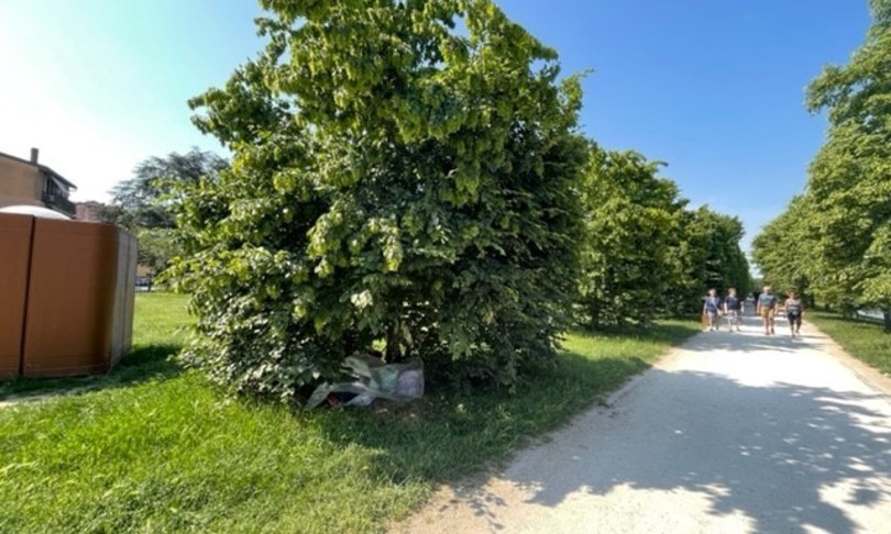 storia miko vive nel parco causa burocrazia