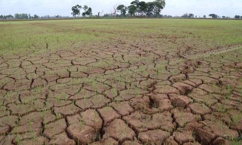 furti notturni acqua Pavese riso