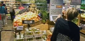 Con 40 gradi la frutta si ustiona, raccolti giù del 15%