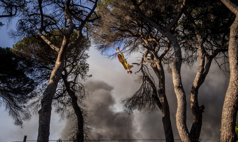 incendi fiamme a castel fusano roma