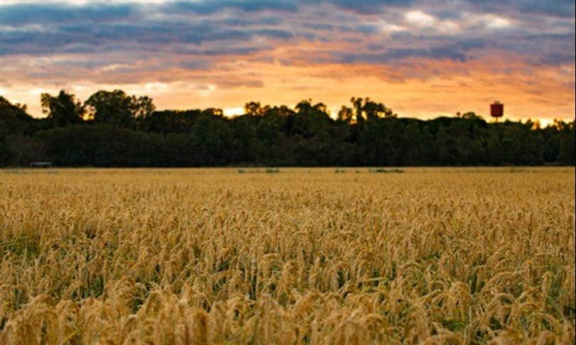 agricoltura barra irroratrice smart per dosare fitofarmaci