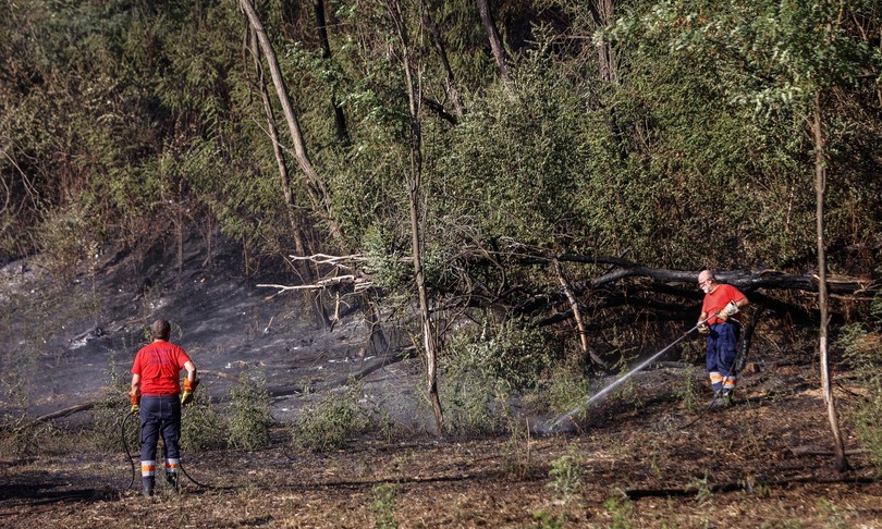 incendi test volontari lazio ma commissione annulla prova