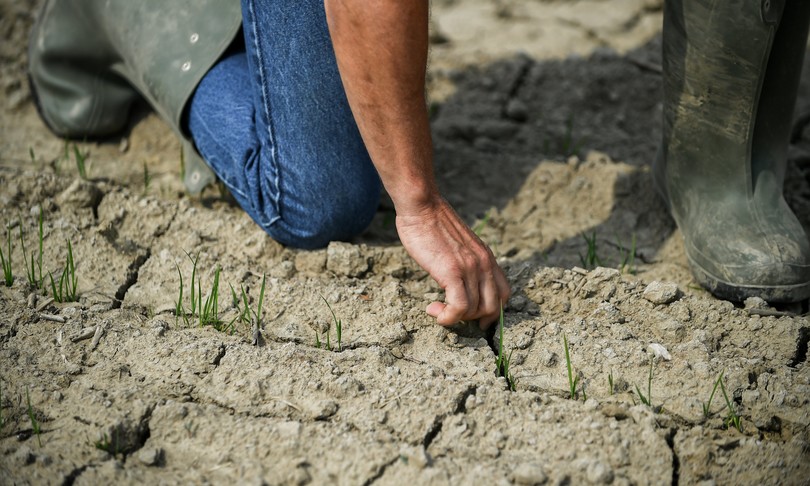caldo coldiretti 2022 anno bollente