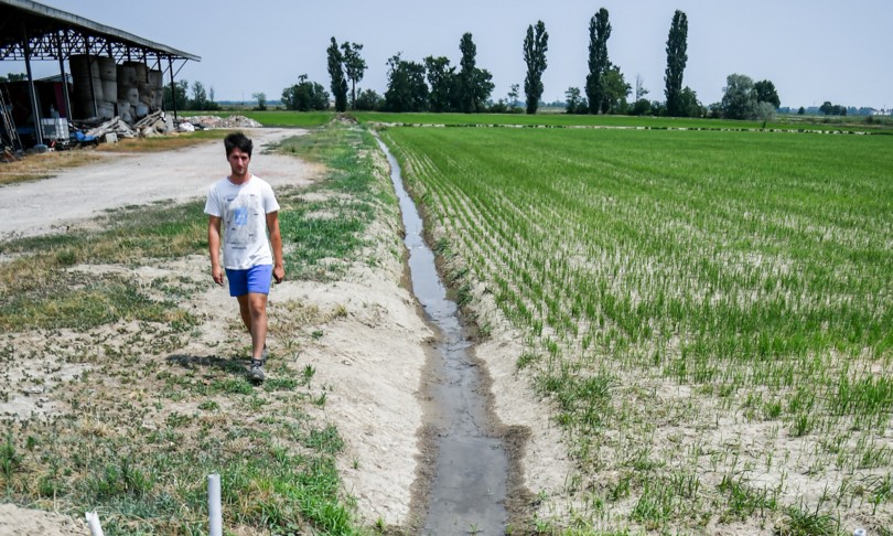 caldo coldiretti 2022 anno bollente