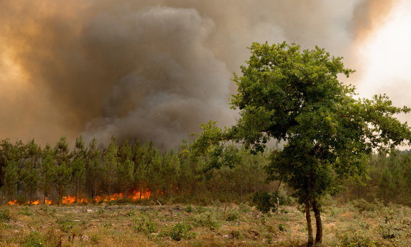 caldo record incendi francia