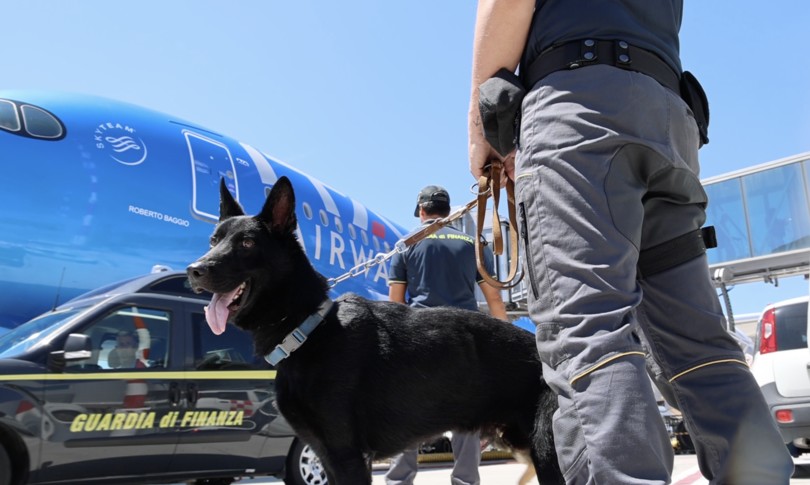cani antidroga guardia di finanza narcos